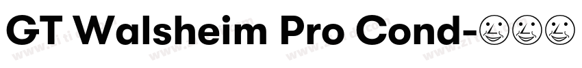 GT Walsheim Pro Cond字体转换